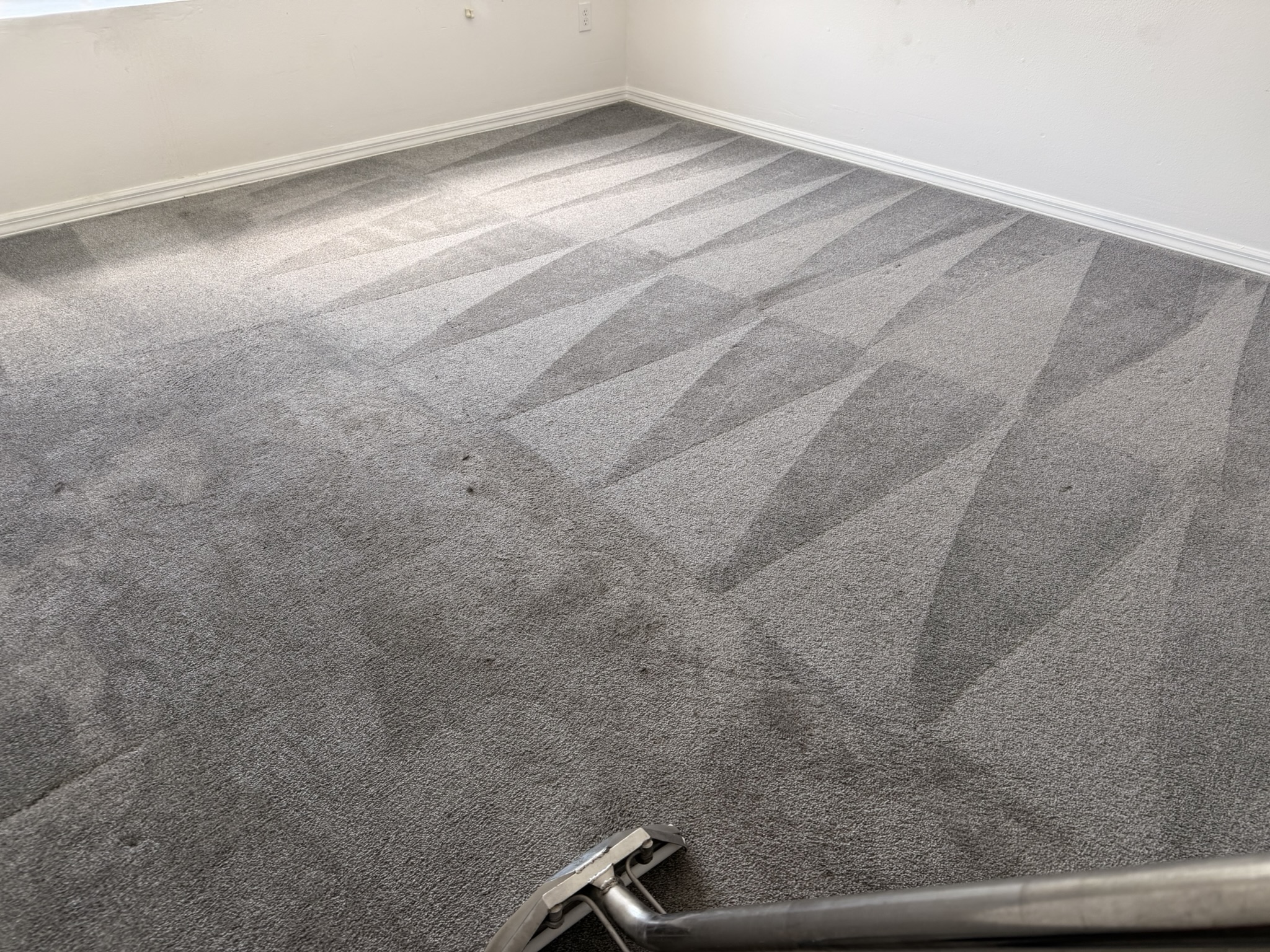 Carpet cleaning extraction lanes across a bedroom carpet in a Lutz, FL home