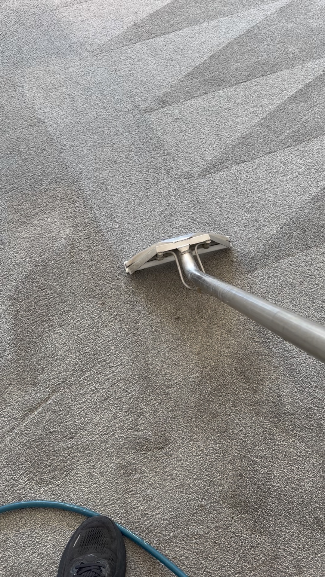 Hot-water extraction wand cleaning a carpet traffic lane in a Lutz, FL bedroom