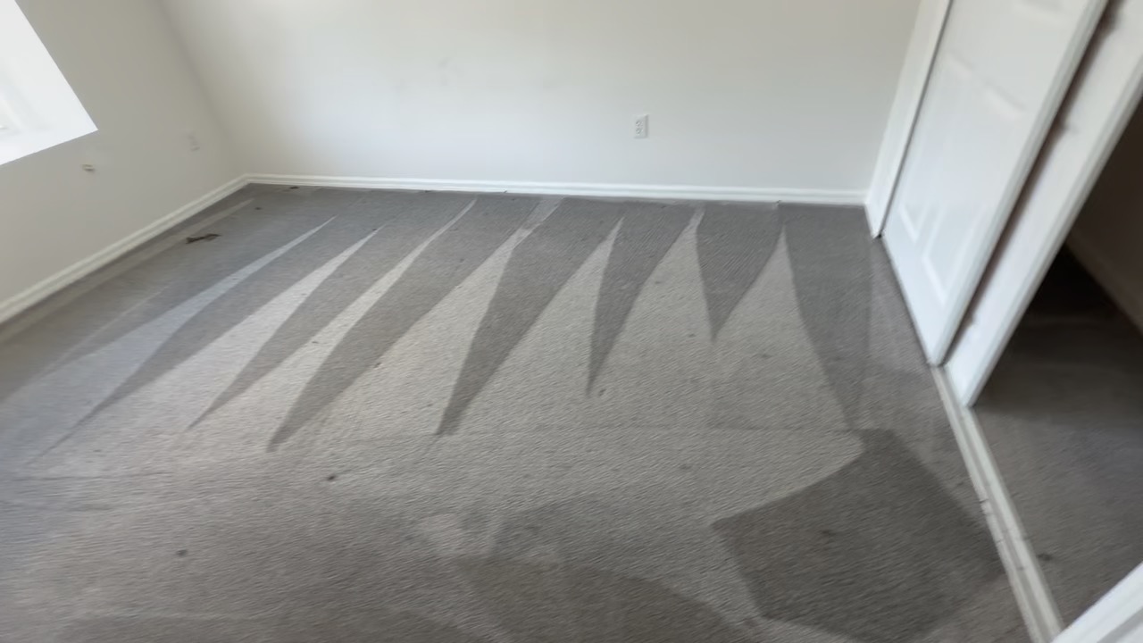 Freshly shampooed and groomed bedroom carpet after professional carpet cleaning in Lutz, FL