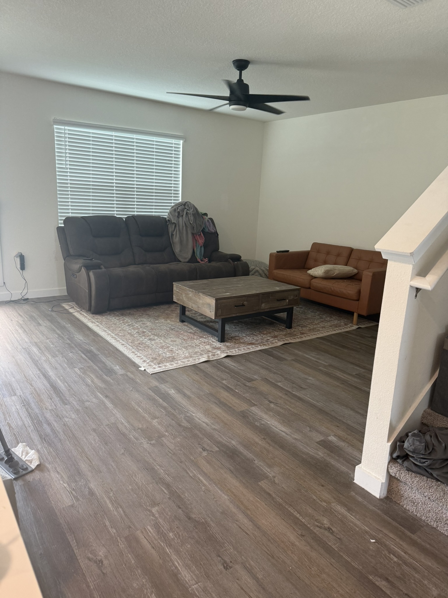 Living room area rug and carpeted stairs cleaned during a carpet cleaning visit in Lutz, FL