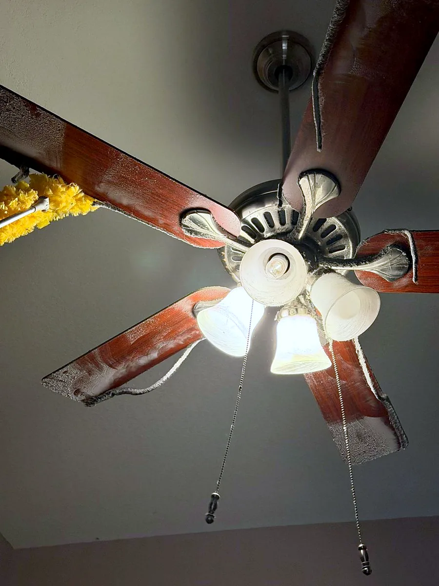 Ceiling fan blades and light fixture covered in heavy dust before a Pure Perfection deep cleaning