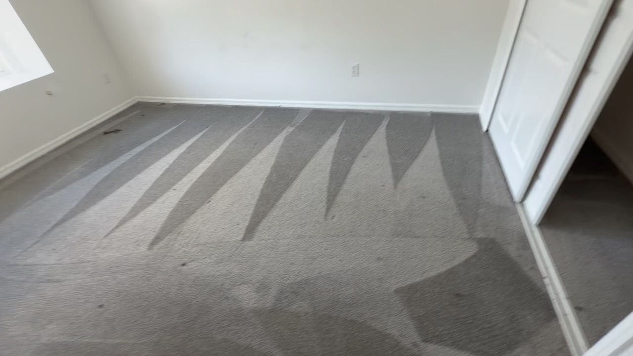 Wesley Chapel, FL bedroom carpet after shampoo and steam cleaning with fresh wand lines drying
