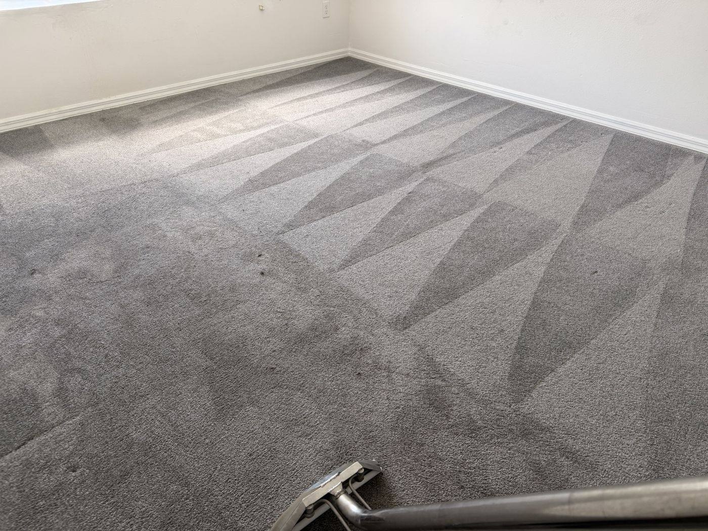 Hot-water extraction carpet cleaning in a Wesley Chapel, FL bedroom, clean lanes visible beside the wand