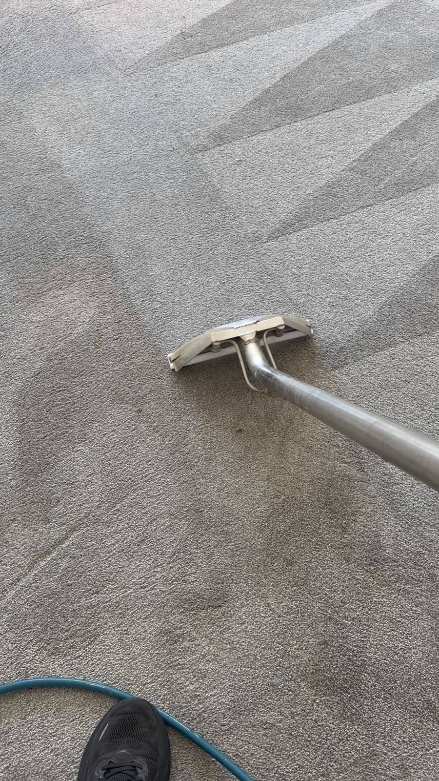 Close-up of the carpet shampoo and steam extraction wand on a Wesley Chapel, FL carpet